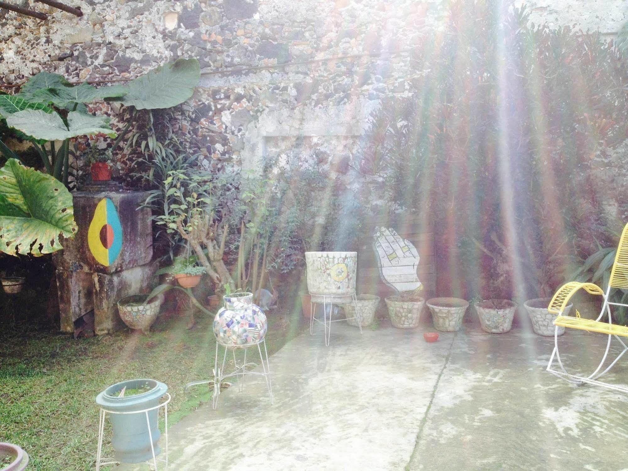 Catre De Mi Corazon Hostel Xalapa Exterior photo